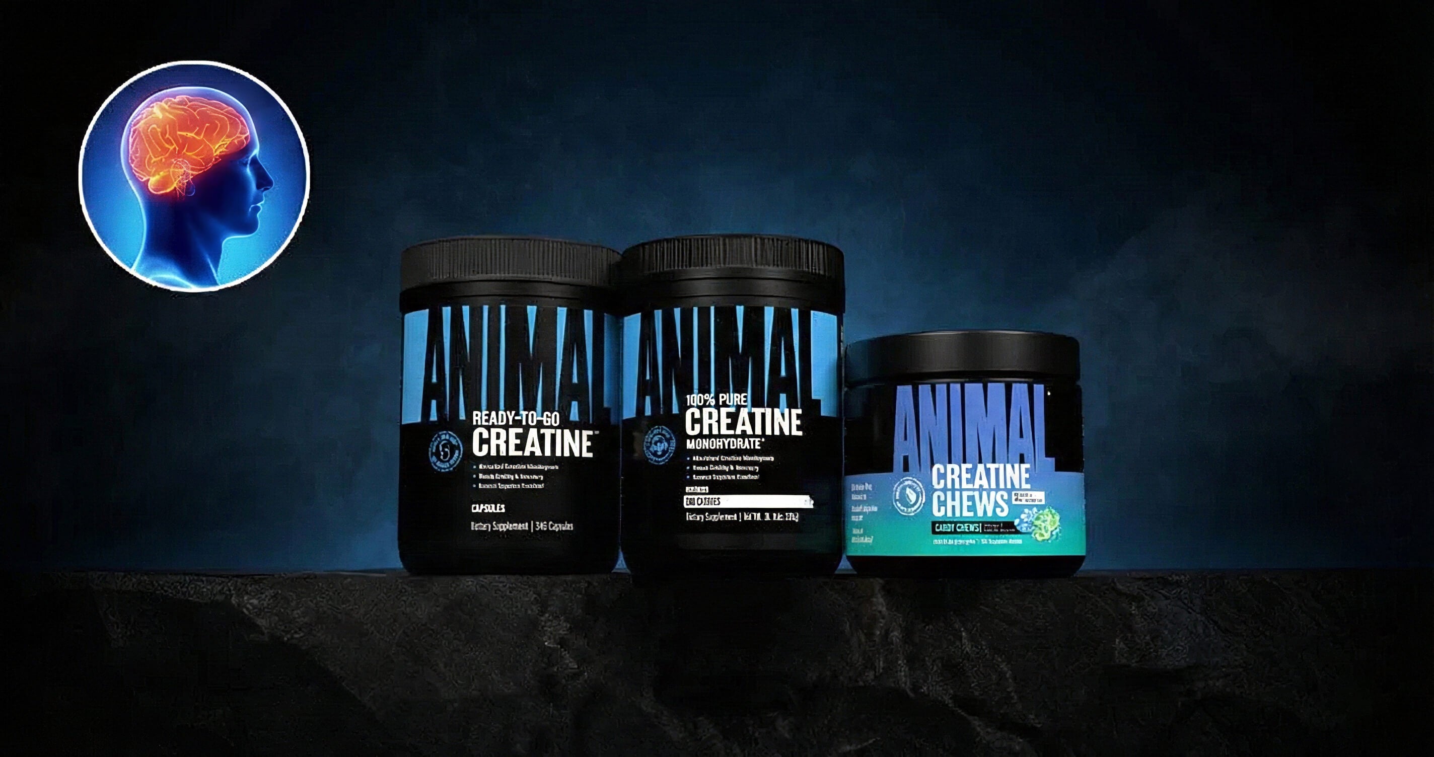 Creatine and Cognitive Performance: What the Research Suggests