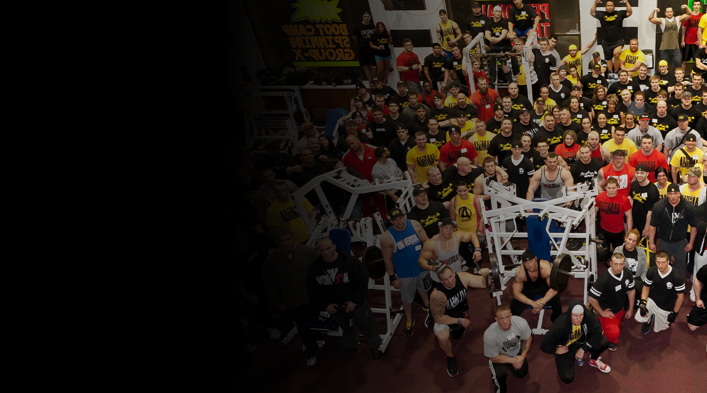 About Us Animalpak UK